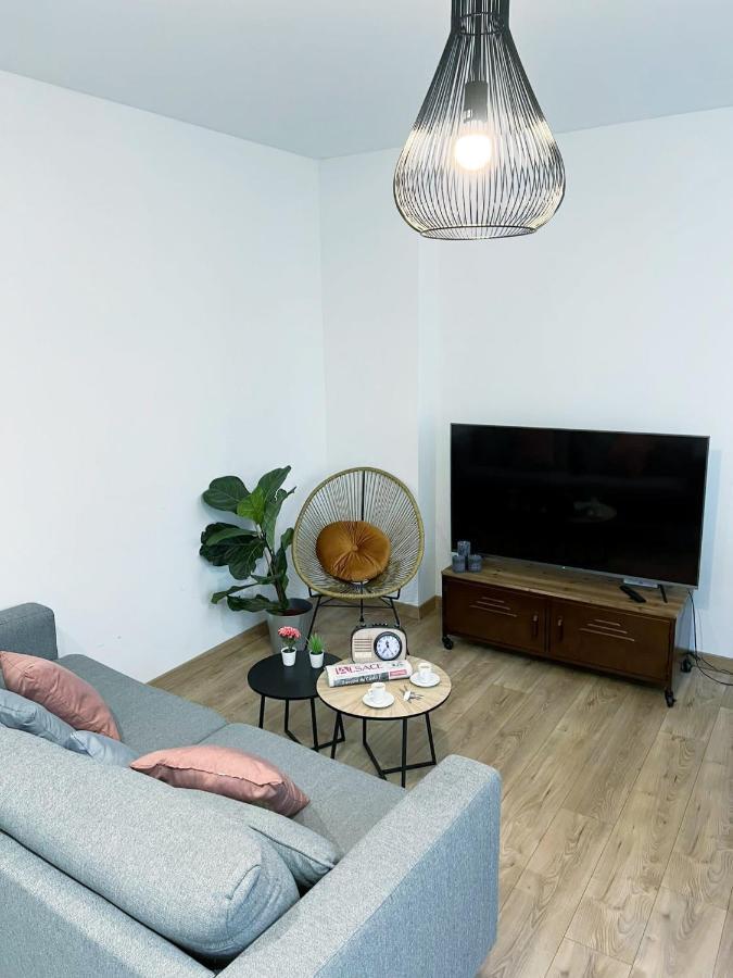 Le Convivial, Appartement Centre Ville Mulhouse Eksteriør billede